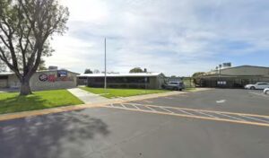 A All-Green Plant Co a all green plant co garden grove 1081