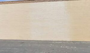 Albertsons Floral albertsons floral huntington beach 843