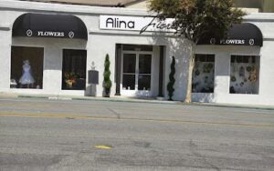 Alina Fiore alina fiore glendale 2227