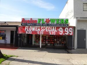 avalon flowers wilmington 80