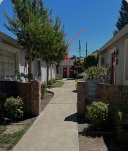 Bella Bloom Flowers bella bloom flowers sacramento 811