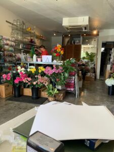 BJ's Petal Pusher's bjs petal pushers napa 101