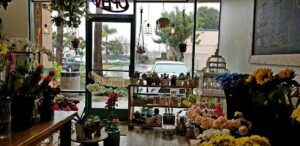 Bloom in Box (by Flower & Co.) bloom in box by flower co la palma 787