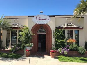 bloomers of la jolla la jolla 1855