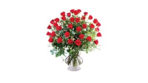 blooming flowers vista 2386