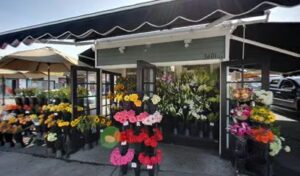 blooms florist flower delivery corona del mar 134