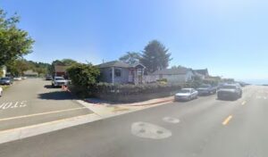 Blossoms blossoms trinidad 1267