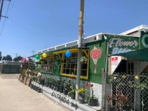 california beauty nursery flower shop commerce 2000