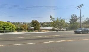 California Flower Bulb Co california flower bulb co oceanside 380