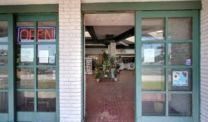 Capri Flowers capri flowers orange 142