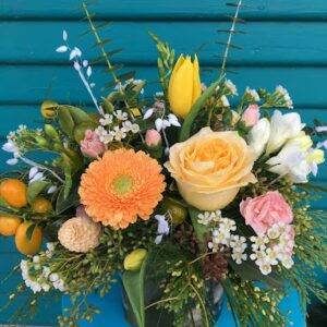 Christian & Johnson Co. christian johnson co chico 913