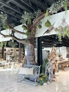 daily blooms fallbrook 396