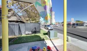 dandelions florist balloons national city 1715