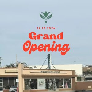 Deliberately Adopted Floral & Design deliberately adopted floral design la mesa 1042