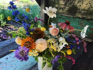 dry creek flowers healdsburg 1792