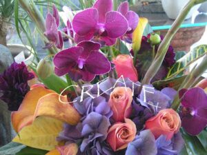 el dorado hills florist el dorado hills 241