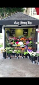Every Bloomin' Thing Fine Flowers every bloomin thing fine flowers costa mesa 74