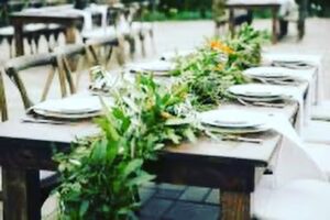 expressions floral hollister 2223