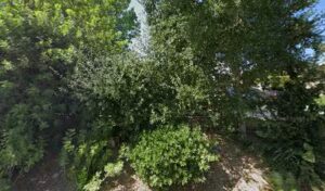 fleur de lis floral thousand oaks 131