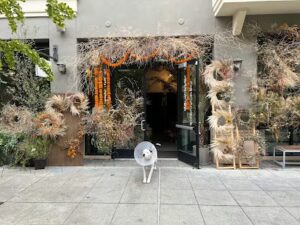 flower casita petaluma 725