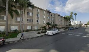 flower delivery bell flower bellflower 2135