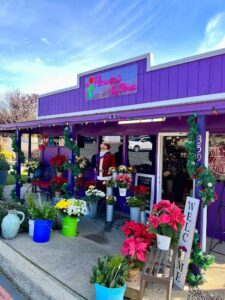 flowers by flores el dorado hills 1641