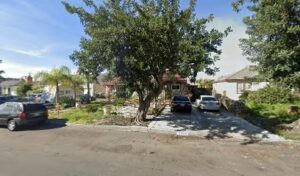 flowers by henry sun valley 1508