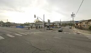 flowers by leah sunland 769