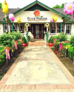 flowers by peter perkens flowers inc visalia 2259