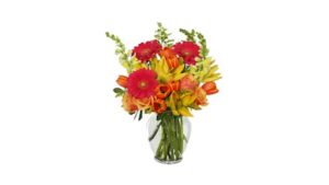 flowers that cliq la verne 458