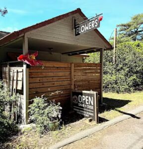 full bloom flower stand petaluma 1784