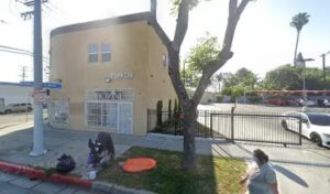 Illusion Flowers illusion flowers lynwood 418