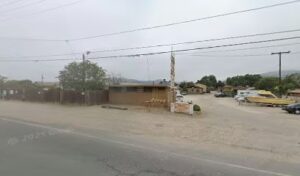 irmas flowers santa paula 259