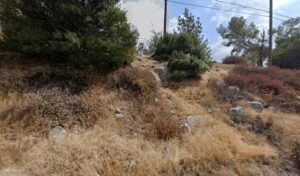 jazs creations tujunga 1586