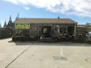 Joshua's Flowers joshuas flowers cypress 72