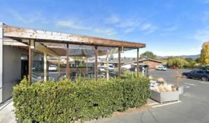 Konjo Flowers konjo flowers napa 651