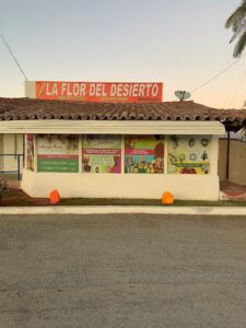 La Flor del Desierto la flor del desierto indio 681