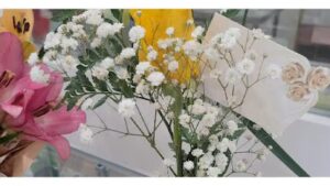 le blanc rose bishop 594