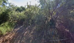 Little Cottage Blooms little cottage blooms valley center 529