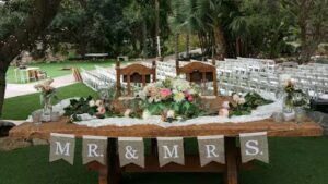 Little Green House Florist little green house florist big bear lake 1053