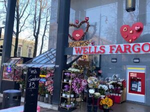 Marin Flowers marin flowers san rafael 1964