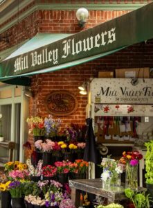 mill valley flowers mill valley 1864