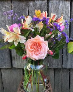 moonstone in bloom trinidad 1744