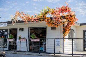 native poppy solana beach 702