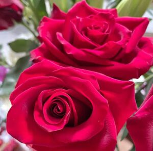 Oakbrook Florist oakbrook florist agoura hills 2100