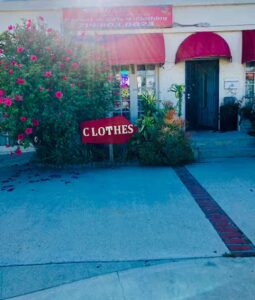 orchids little secret boutique placentia 952