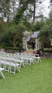 pink clover flowers venice venice 2267