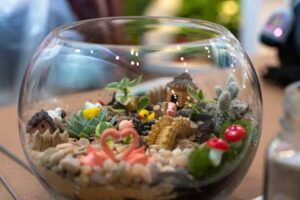 plant me studio clovis 1627