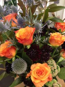 Point Reyes Flowers point reyes flowers point reyes station 376