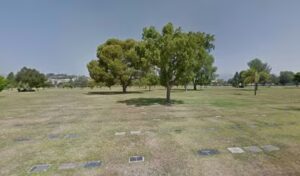 radleys flowers mission hills 1403